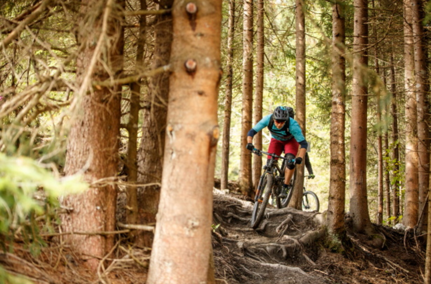 Mountain biker on root-covered forest trail in Großarltal wearing full protective gear | © Grossarler Bergbahnen GmbH & Co KG Rider with helmet and pads on technical forest trail with roots in Großarltal | © Grossarler Bergbahnen GmbH & Co KG